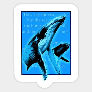 Whales Weep Not Sticker